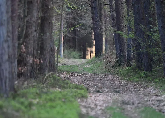 Auerhahn Ferienhaeuser Auerhahn 602 Semesterbostad Hasselfelde
